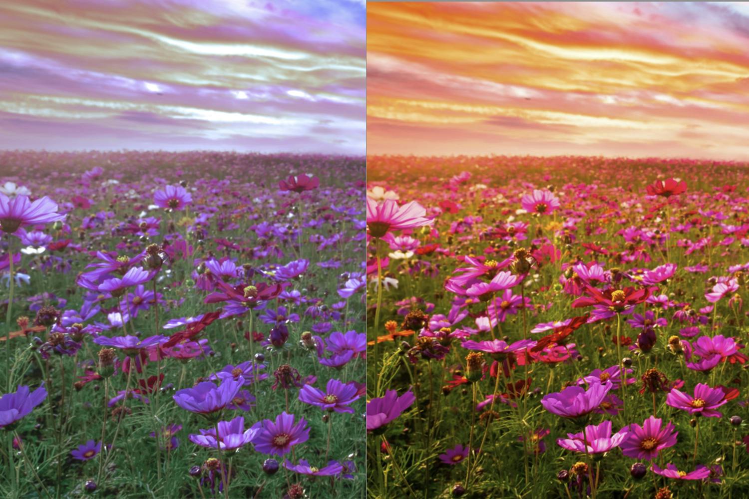 blomster2 Bilden före och efter redigering